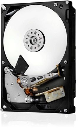 Жесткий диск HGST SAS