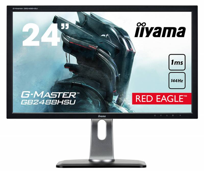 Монитор Iiyama 24" G-Master