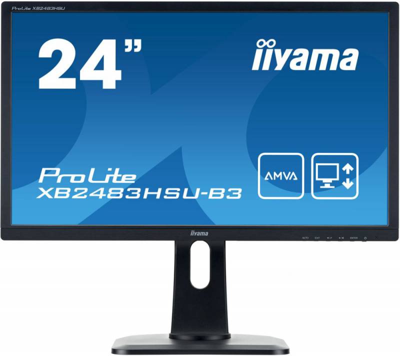 Монитор Iiyama 24" ProLite