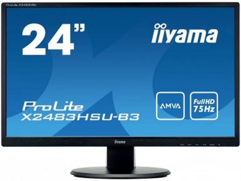 Монитор Iiyama 24" ProLite