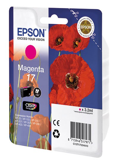 Картридж струйный Epson T1704